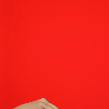 Giphy profile picture for @stakeholder