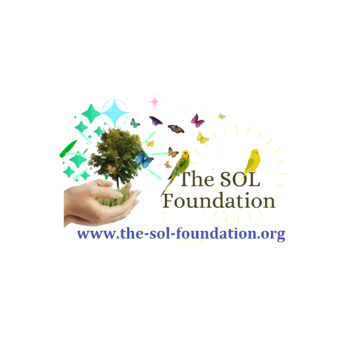 theseedoflifefoundation