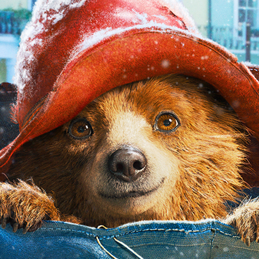 Paddington GIFs - Get the best GIF on GIPHY
