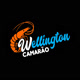 wellingtoncamarao