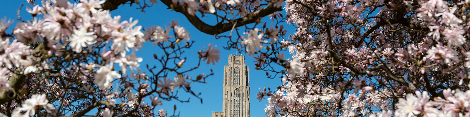 Giphy banner for @Pitt
