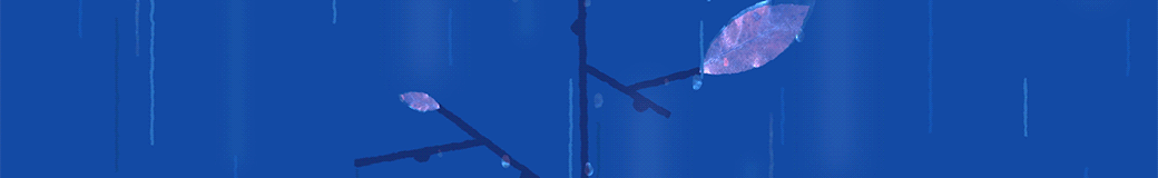 wWIVadS9YYBK.gif