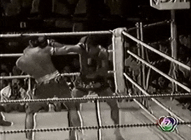 Khunpol GIF