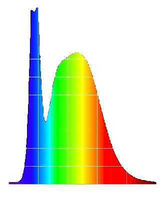 Spectrum Sticker by Bloomtech