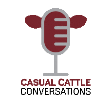 Podcast Cowboy Sticker by BullPEN