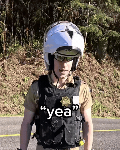 Reno 911 Ice GIF