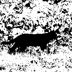 Black Cat GIF by Trevor Anderson