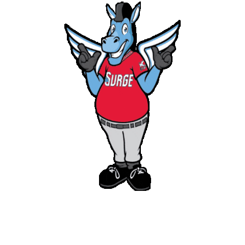 Wichita Wind Surge Sticker