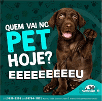 Webcao GIF