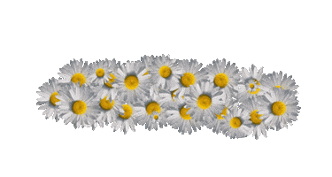Summer Flower Sticker by LVM