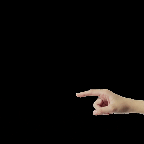 Studiocooliejoelie GIF