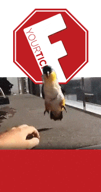 Free-funny-animations GIFs - Get the best GIF on GIPHY Free-funny-animations GIFs - Get the best GIF on GIPHY
