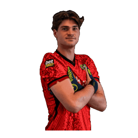 Wannes Carnewal Sticker by KFC Merelbeke