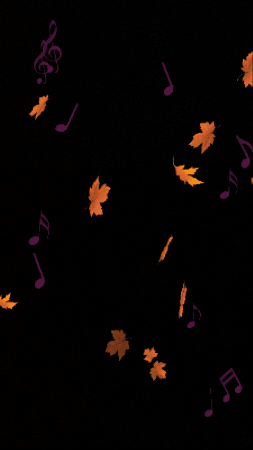 Musincantus | Autunno Musicale | CortinAteatro GIF