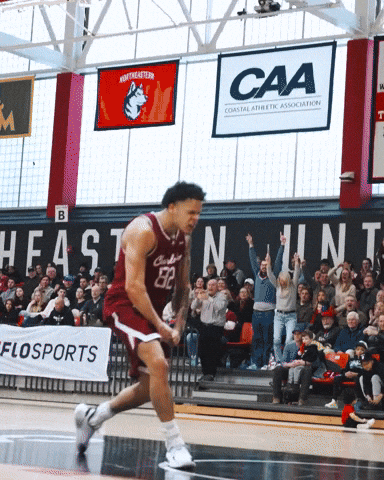 College Of Charleston Cougars GIF by Charleston Basketball