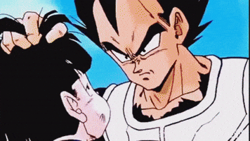 Dragon Ball Z Fight GIF