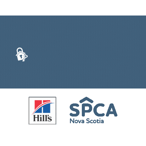 Adopt Me Best Friends Sticker by Nova Scotia SPCA