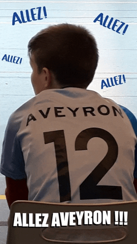 Comité Handball Aveyron GIF