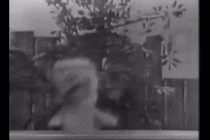 Dancing GIF