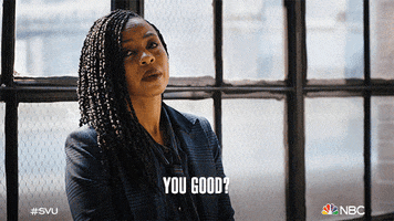 TV gif. Danielle Moné Truitt as Sergeant Ayanna Bell in Law and Order in front of a bright window, giving a concerned but straight look while asking, "you good?" which appears as text.