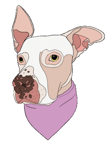 Dog Sticker
