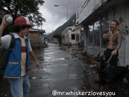 Angry Cat GIF