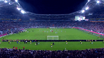 Stadium Australia GIF
