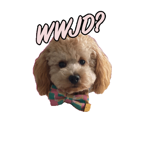 Feel Good Club Sticker