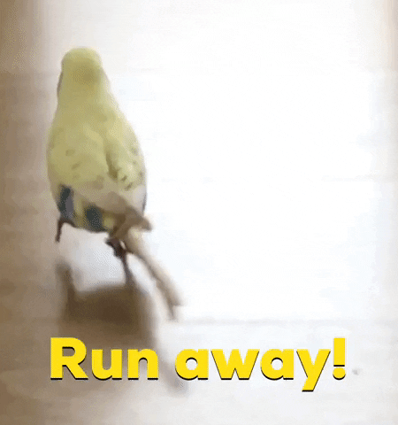Nope GIF