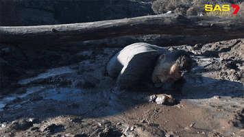 Down And Dirty Mess GIF by Channel 7