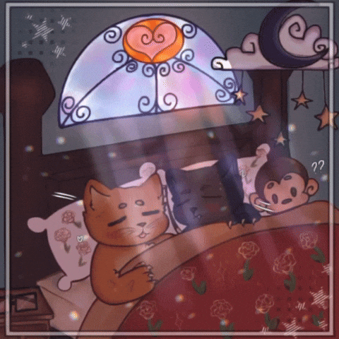 Cats GIF