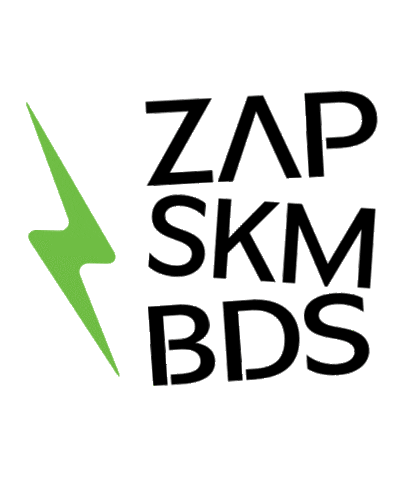 ZapSkimBoards Sticker
