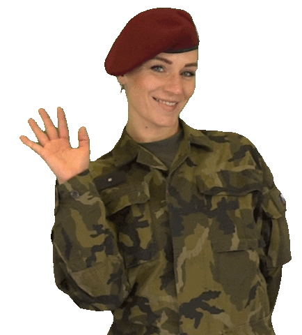 Armáda České republiky Sticker