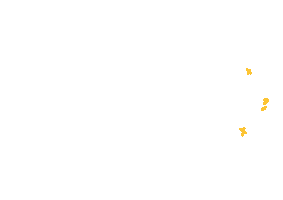Yellow Sticker