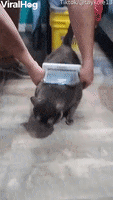 200.gif?cid=fc005b087e4988568b8dfea83b743e82a3e29b4357b01891&rid=200.gif&ct=g
