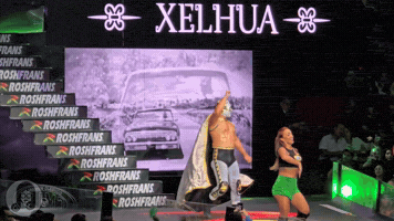 Lucha Libre Hello GIF