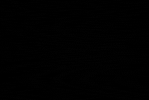 Homeboy Industries GIF