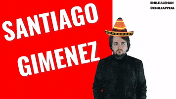 Mexico Santiago GIF