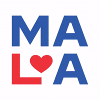 Make America Love Again - 6