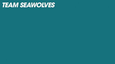 Seawolves meme gif
