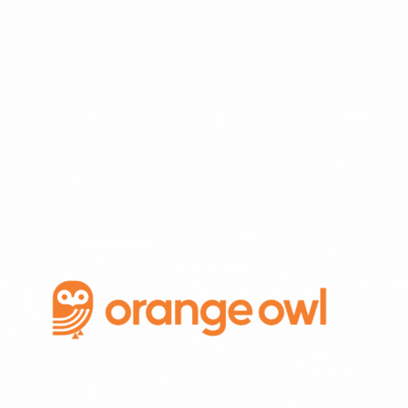 Orange Owl GIF