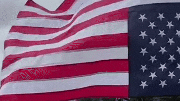 America Protest GIF by Respective