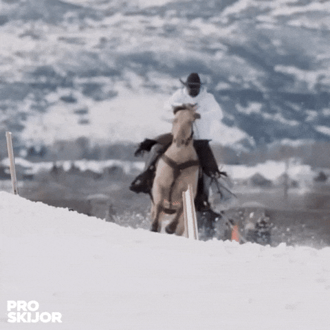 proskijor GIF