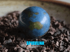 Water Earth GIF by raw chocolatier