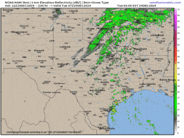 Texas GIF