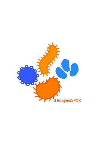 IMAGINE SPOR Sticker