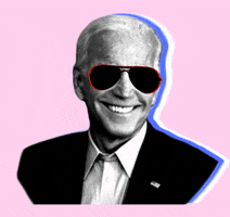 Happy Election 2020 GIF by Joe Biden