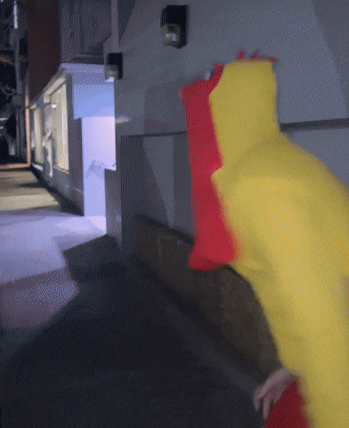 Party Summer GIF by Belligerent Bermuda