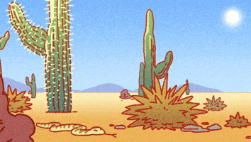 All Good Thumbs Up GIF by Holler Studios