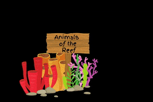 Allen Coral Atlas GIF
